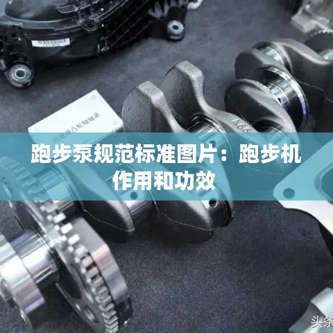 衣不完采 第3頁