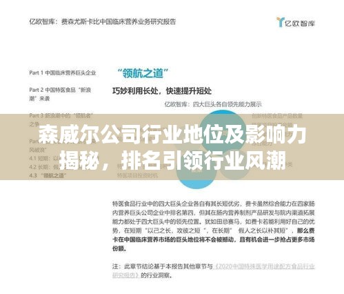 森威爾公司行業(yè)地位及影響力揭秘，排名引領(lǐng)行業(yè)風(fēng)潮