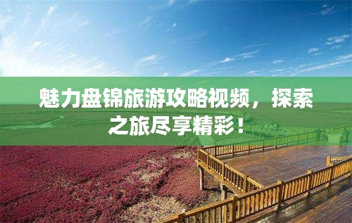 魅力盤錦旅游攻略視頻，探索之旅盡享精彩！