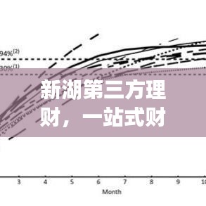 新湖第三方理財，一站式財富管理，打造您的理想投資新選擇！
