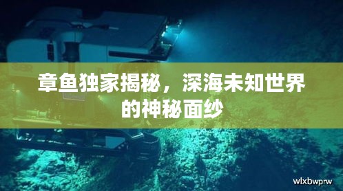 章魚獨家揭秘，深海未知世界的神秘面紗