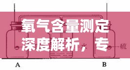 氧氣含量測定深度解析，專業(yè)方法與實用技巧