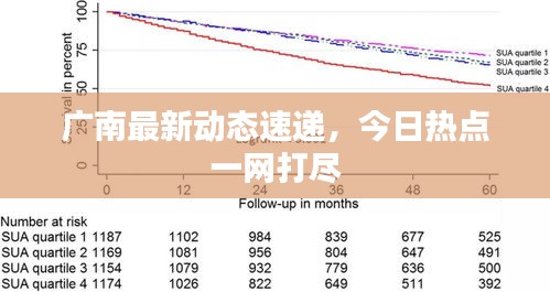 廣南最新動(dòng)態(tài)速遞，今日熱點(diǎn)一網(wǎng)打盡