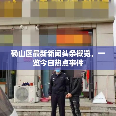 碭山區(qū)最新新聞頭條概覽，一覽今日熱點事件