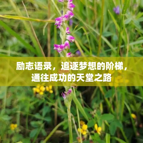 勵(lì)志語錄，追逐夢(mèng)想的階梯，通往成功的天堂之路