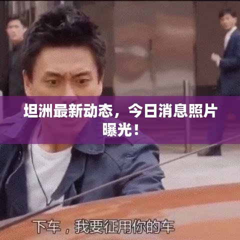 坦洲最新動(dòng)態(tài)，今日消息照片曝光！