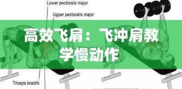 高效飛肩：飛沖肩教學(xué)慢動作 