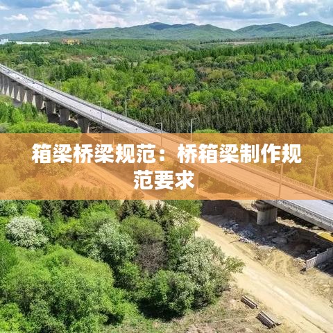 箱梁橋梁規(guī)范：橋箱梁制作規(guī)范要求 