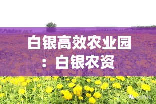 白銀高效農(nóng)業(yè)園：白銀農(nóng)資 