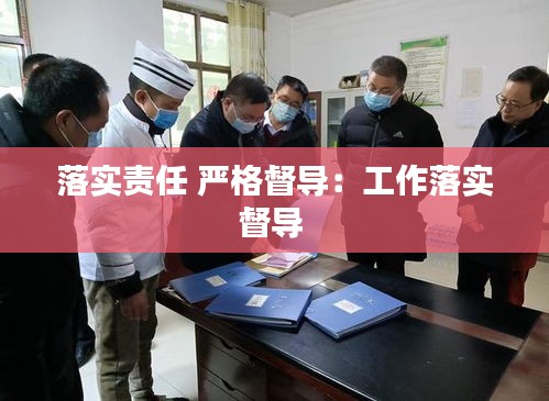 落實(shí)責(zé)任 嚴(yán)格督導(dǎo)：工作落實(shí)督導(dǎo) 