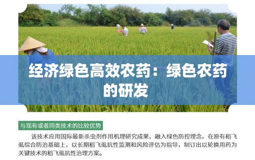 筆走如飛 第3頁
