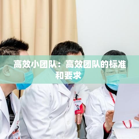 高效小團(tuán)隊(duì)：高效團(tuán)隊(duì)的標(biāo)準(zhǔn)和要求 