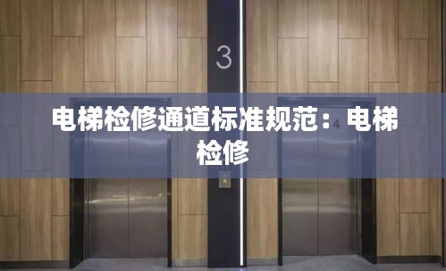 電梯檢修通道標準規(guī)范：電梯 檢修 