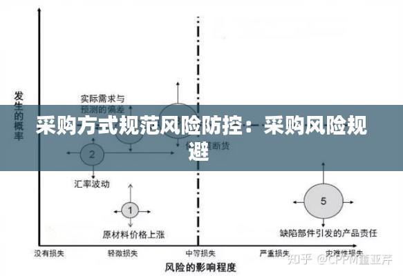 采購(gòu)方式規(guī)范風(fēng)險(xiǎn)防控：采購(gòu)風(fēng)險(xiǎn)規(guī)避 