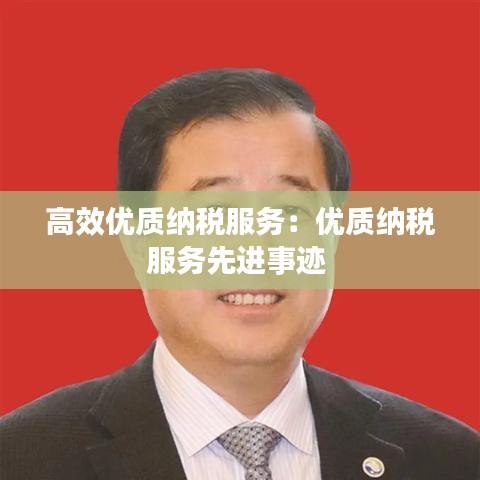 高效優(yōu)質(zhì)納稅服務(wù)：優(yōu)質(zhì)納稅服務(wù)先進事跡 