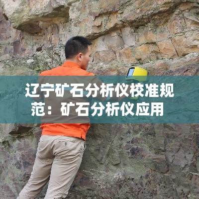 遼寧礦石分析儀校準規(guī)范：礦石分析儀應(yīng)用 