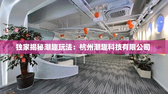 獨(dú)家揭秘潮趣玩法：杭州潮趣科技有限公司 