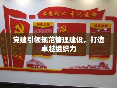 黨建引領規(guī)范管理建設，打造卓越組織力