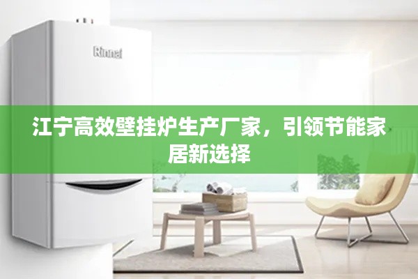 江寧高效壁掛爐生產(chǎn)廠家，引領(lǐng)節(jié)能家居新選擇