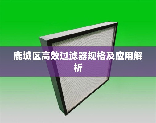 鹿城區(qū)高效過(guò)濾器規(guī)格及應(yīng)用解析