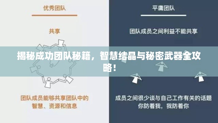 揭秘成功團(tuán)隊秘籍，智慧結(jié)晶與秘密武器全攻略！
