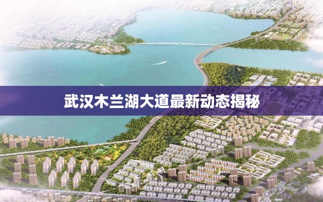 武漢木蘭湖大道最新動態(tài)揭秘