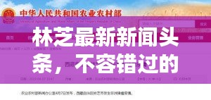 林芝最新新聞?lì)^條，不容錯(cuò)過的當(dāng)?shù)刭Y訊速遞