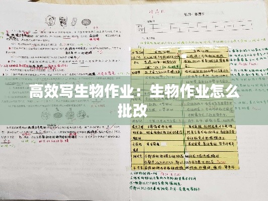 高效寫生物作業(yè)：生物作業(yè)怎么批改 