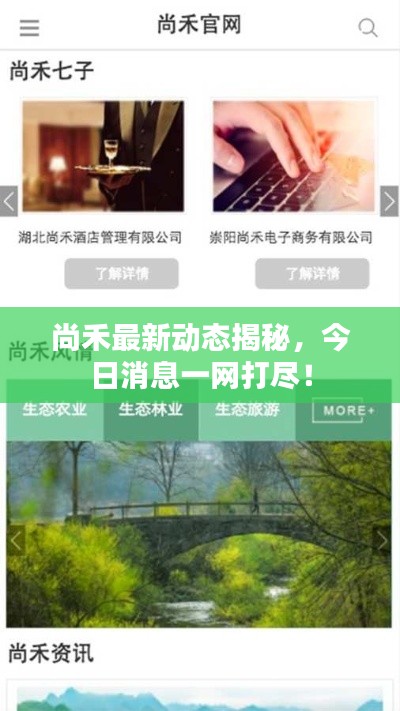 尚禾最新動態(tài)揭秘，今日消息一網(wǎng)打盡！