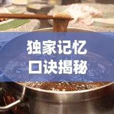 獨(dú)家記憶口訣揭秘，高效記憶的秘密武器