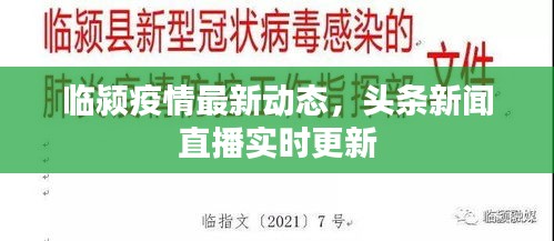 臨潁疫情最新動(dòng)態(tài)，頭條新聞直播實(shí)時(shí)更新