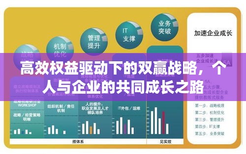 高效權(quán)益驅(qū)動(dòng)下的雙贏戰(zhàn)略，個(gè)人與企業(yè)的共同成長(zhǎng)之路
