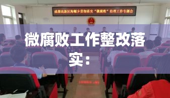 微腐敗工作整改落實(shí)： 