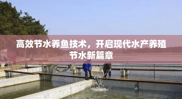 高效節(jié)水養(yǎng)魚技術(shù)，開啟現(xiàn)代水產(chǎn)養(yǎng)殖節(jié)水新篇章
