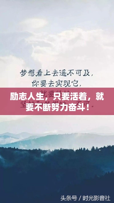 物以希為貴 第3頁(yè)