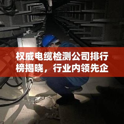 權(quán)威電纜檢測公司排行榜揭曉，行業(yè)內(nèi)領(lǐng)先企業(yè)榜單出爐！