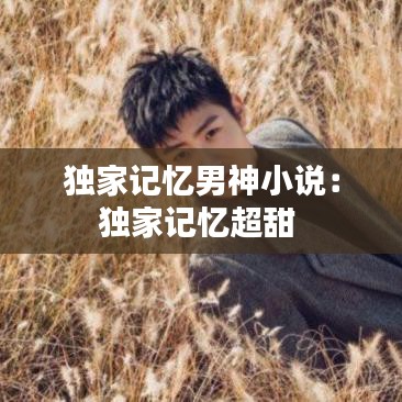 獨(dú)家記憶男神小說：獨(dú)家記憶超甜 