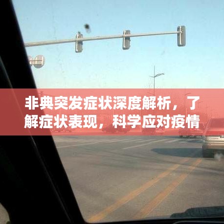 非典突發(fā)癥狀深度解析，了解癥狀表現(xiàn)，科學應對疫情
