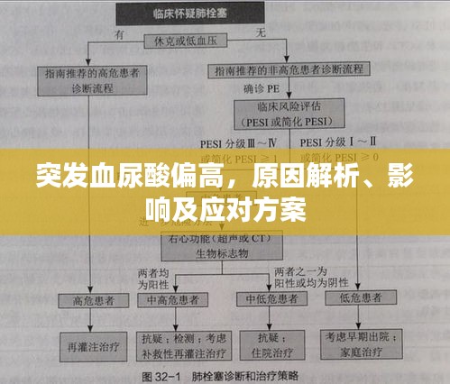 突發(fā)血尿酸偏高，原因解析、影響及應(yīng)對方案