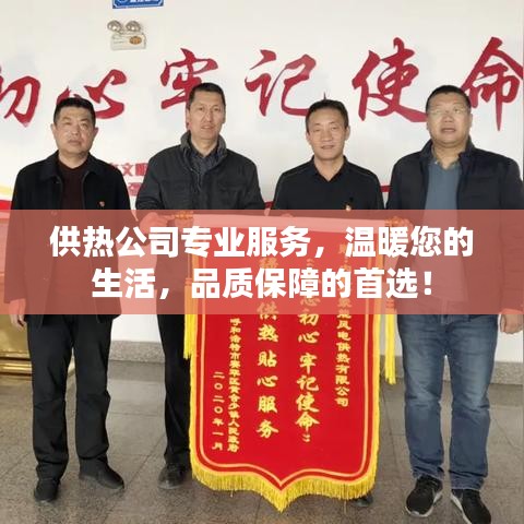 供熱公司專業(yè)服務(wù)，溫暖您的生活，品質(zhì)保障的首選！