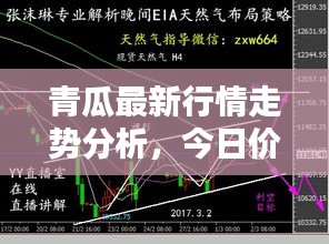 青瓜最新行情走勢分析，今日價格揭秘