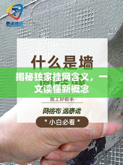 揭秘獨(dú)家掛網(wǎng)含義，一文讀懂新概念