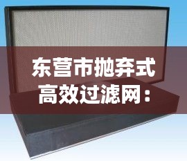 東營市拋棄式高效過濾網(wǎng)：拋棄式高效過濾器 