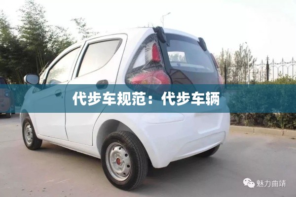 代步車(chē)規(guī)范：代步車(chē)輛 