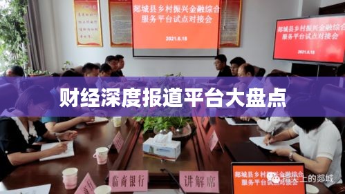 財經(jīng)深度報道平臺大盤點