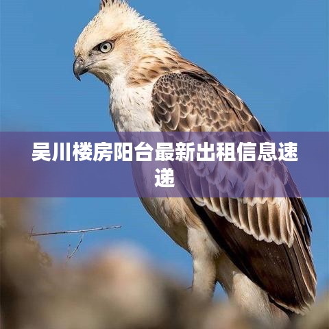 千里迢迢 第3頁