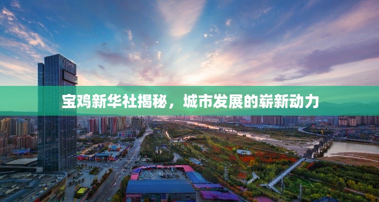 寶雞新華社揭秘，城市發(fā)展的嶄新動力