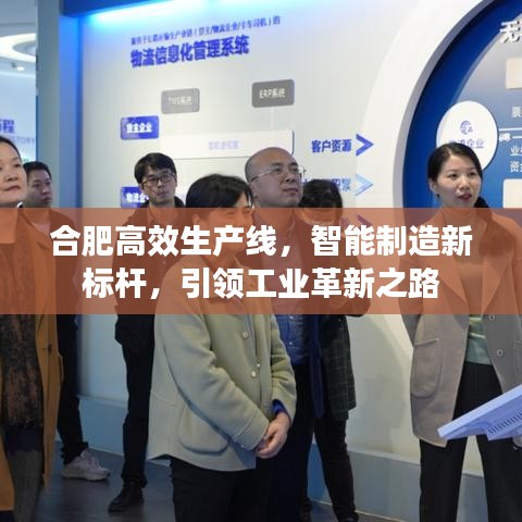 合肥高效生產(chǎn)線，智能制造新標(biāo)桿，引領(lǐng)工業(yè)革新之路