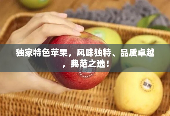 精益求精 第3頁