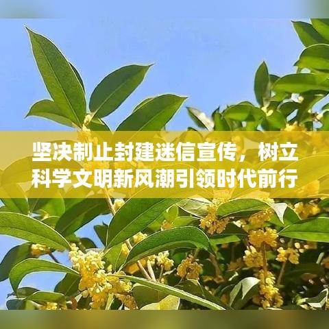 堅(jiān)決制止封建迷信宣傳，樹立科學(xué)文明新風(fēng)潮引領(lǐng)時(shí)代前行
